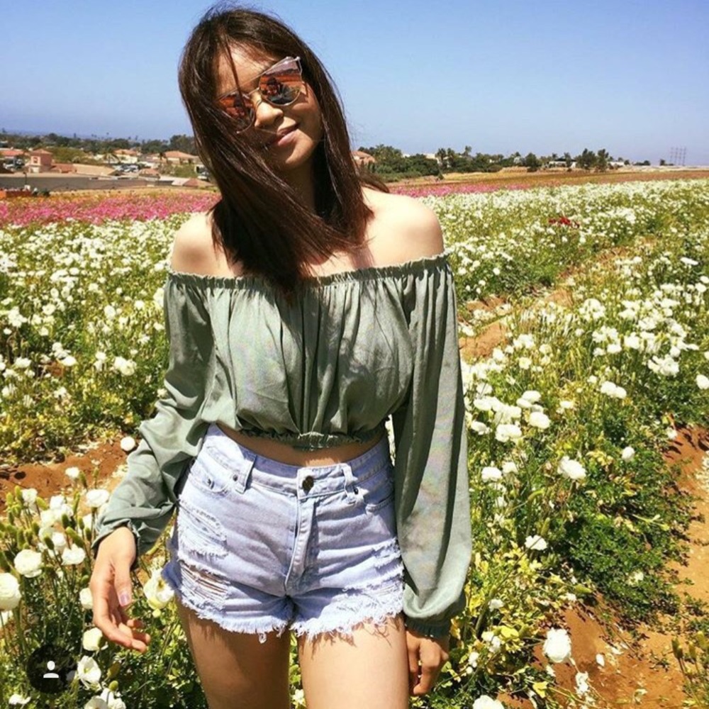 Zara off shoulder crop top